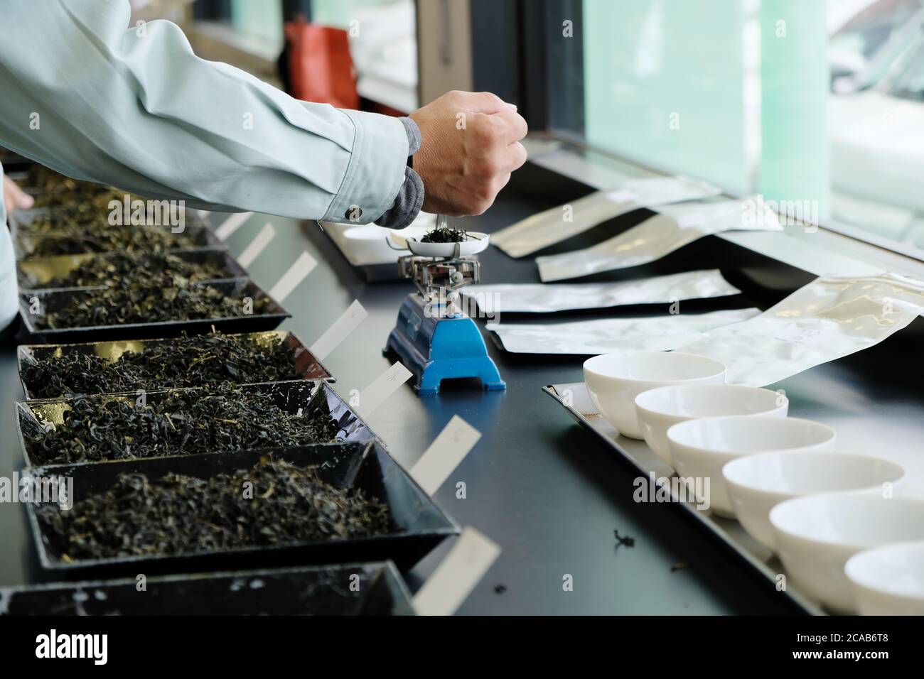 The tea tasting process in the lab. Grading from the colour, texture, aroma and also the taste of the tea. Stock Photo
