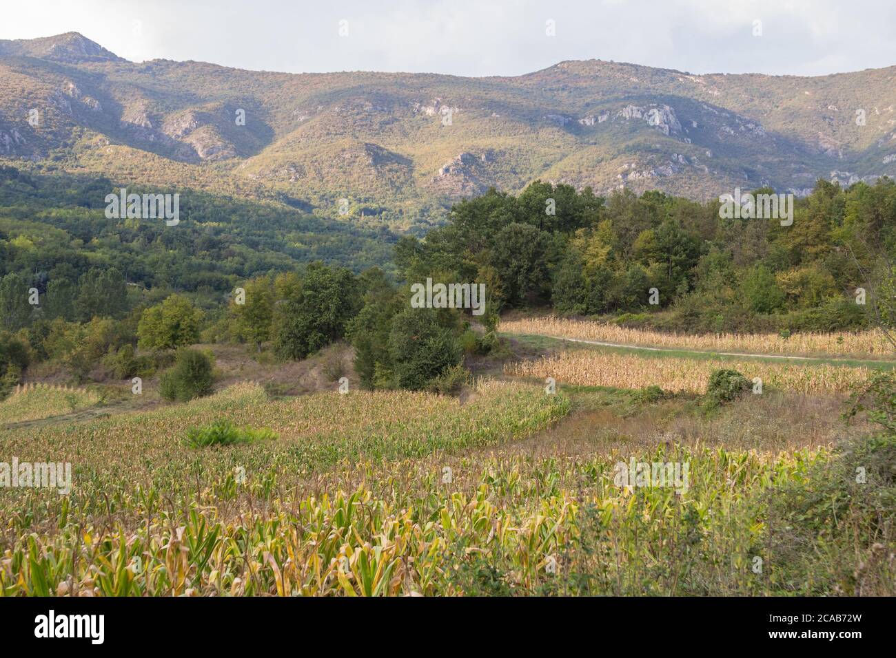 Panorama of mounts of the Suva planina, a chain of mountains and hills in Balkans, in Southeastern Serbia, with forests, hills and agricultural fields Stock Photo
