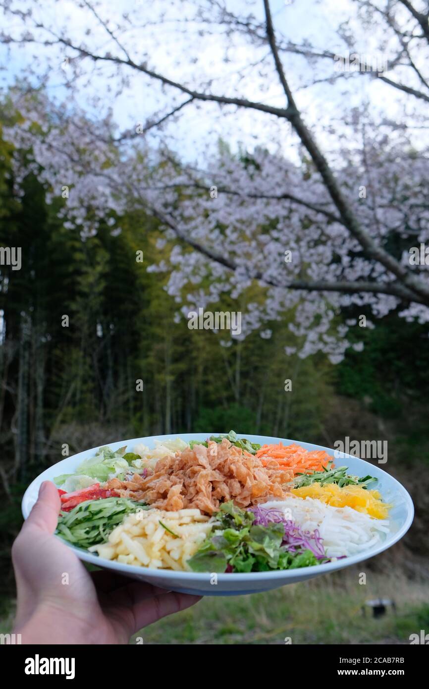 Yee sang, Prosperity Toss is a Cantonese-style raw fish salad, mixed with shredded vegetables and sauces. A famous Chinese New Year dish in Malaysia. Stock Photo