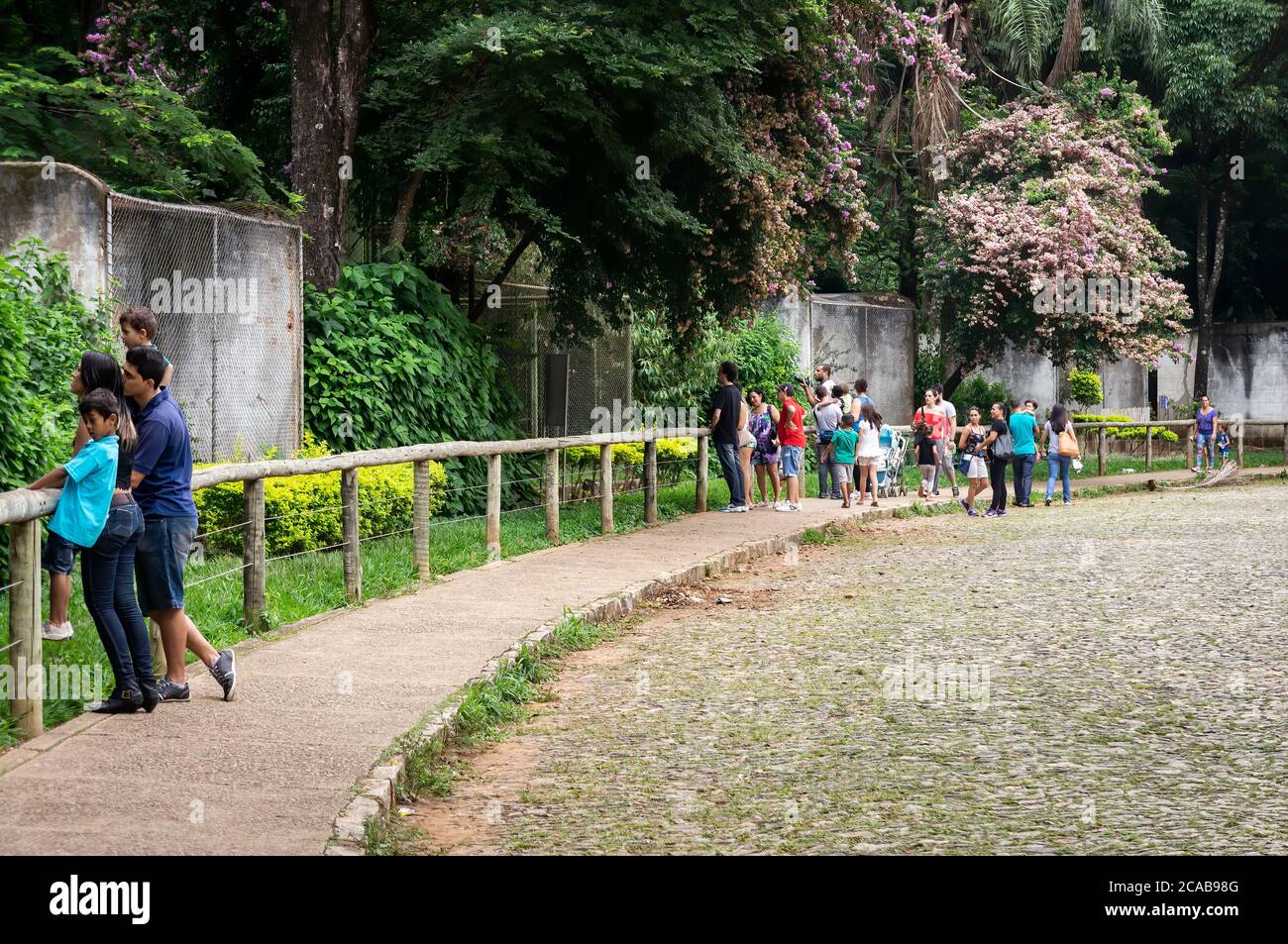 Zoo visitors checking the wild animal enclosures at a wooden fence inside Belo Horizonte zoological park. Stock Photo