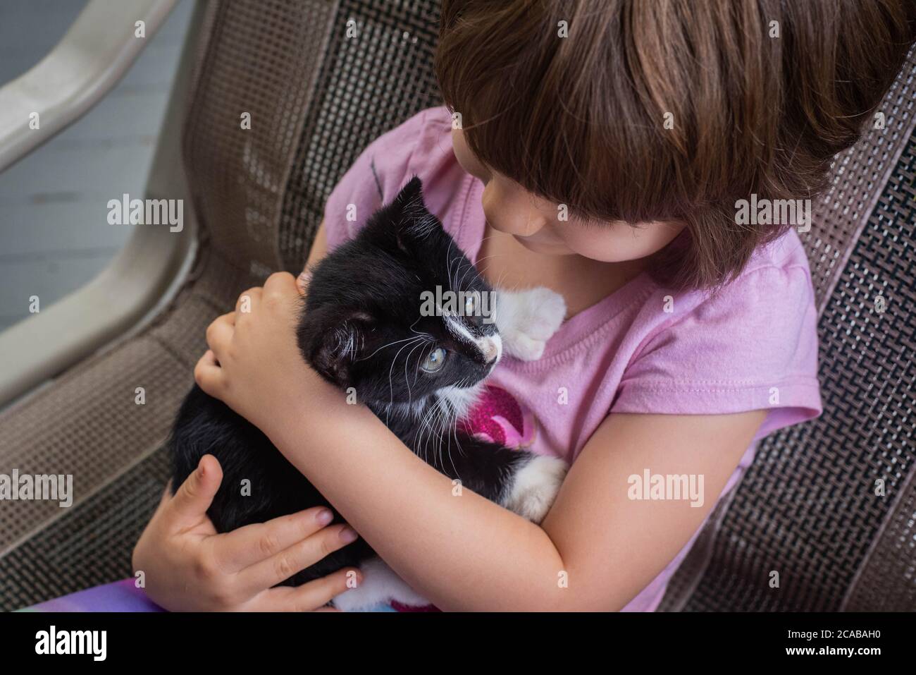 A 5 year old girl holds a black and white two month old kitten stock