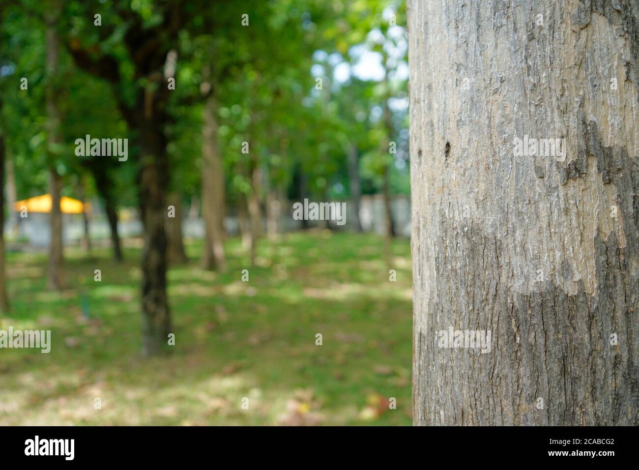 Bangkok bike park hi-res stock photography and images - Alamy