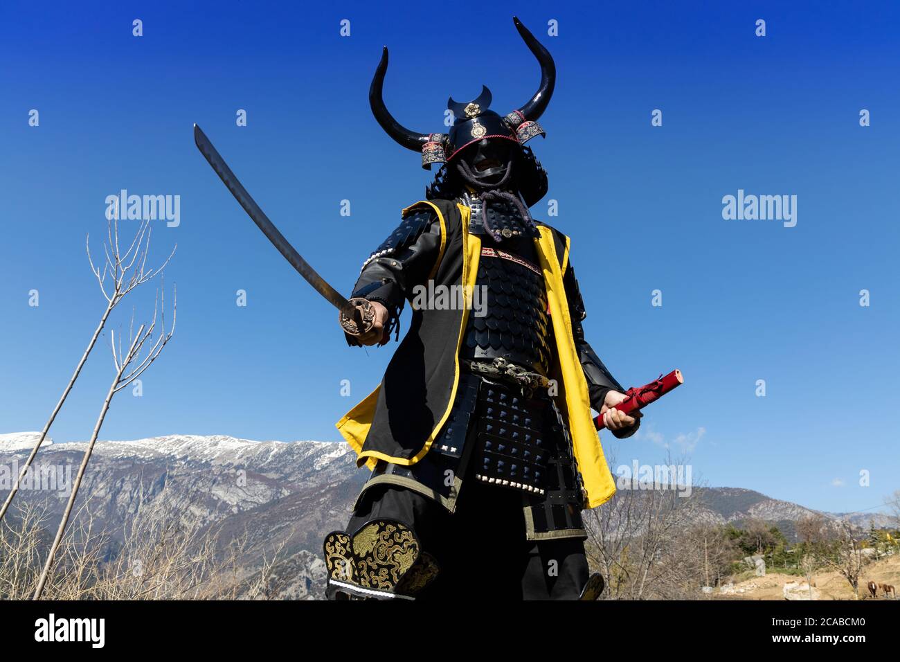Japanese Samurai warrior dressed in armor with a mesmerizing ...
