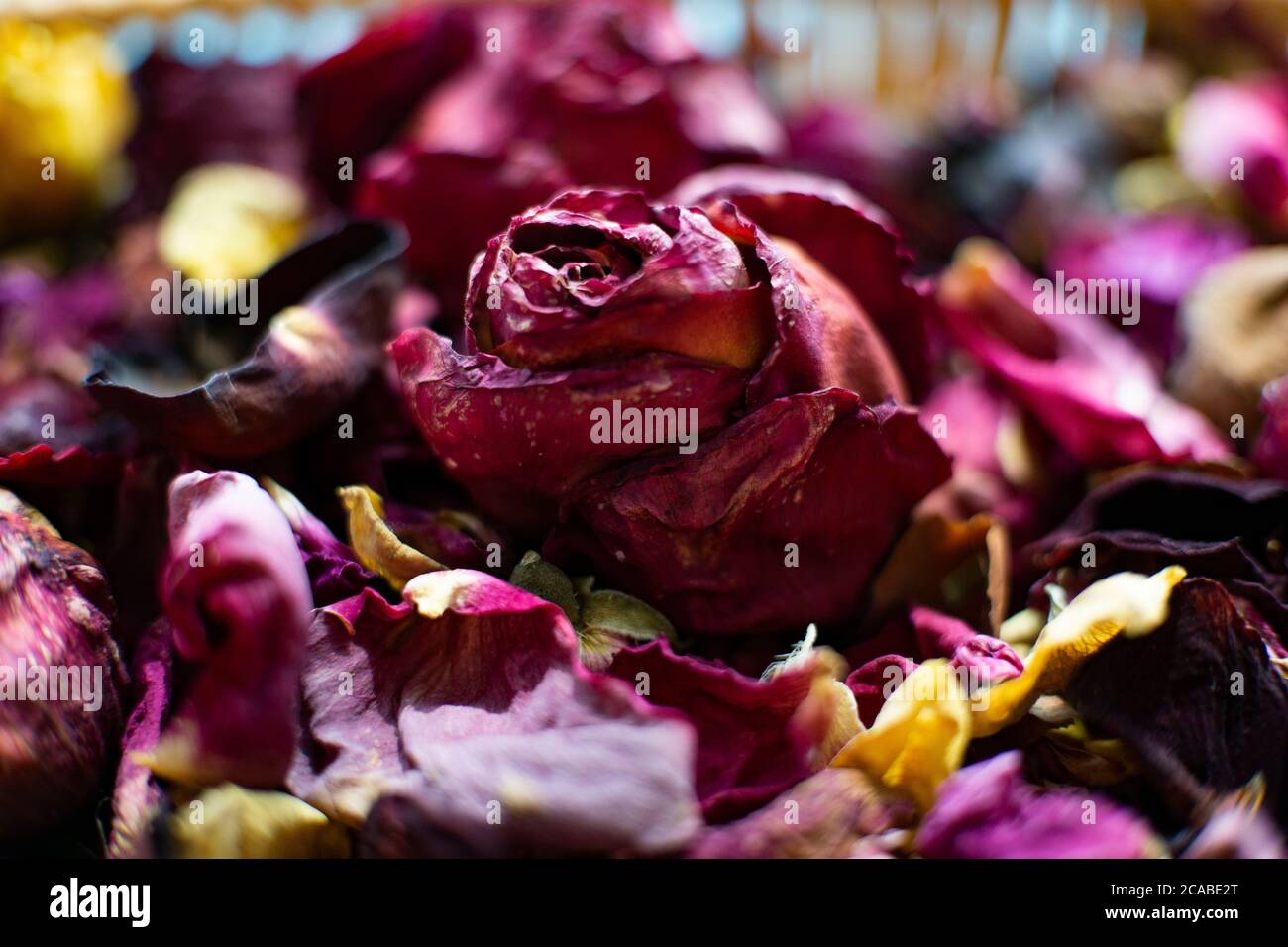 dried rose petals Stock Photo Alamy