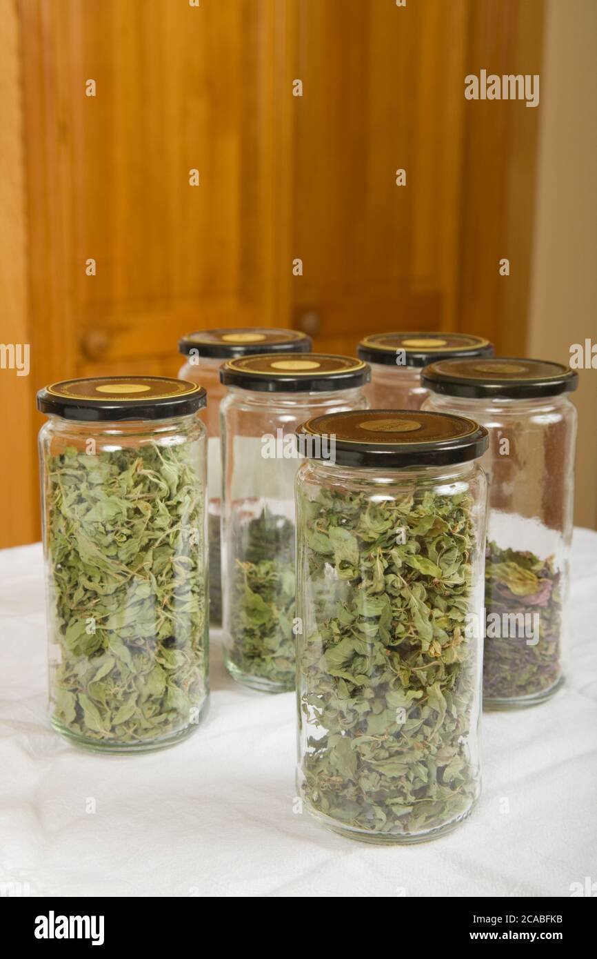 Jars of homedried peppermint and oregano Stock Photo Alamy