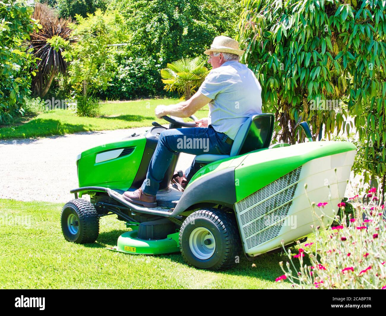 Senior man 75 old years driving a tractor lawn mower in garden with flowers. Green and white ride on mower, turning in field between colorful flowers Stock Photo