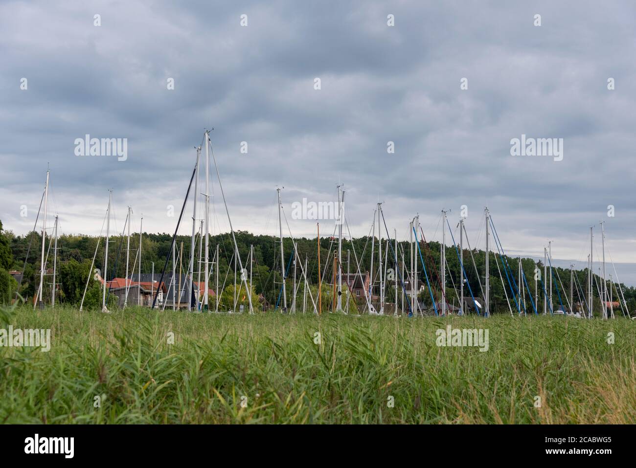 Seedorf, Germany. 02nd Aug, 2020. Behind a belt of reeds you can see the masts of the sailing boats that have moored in the natural harbour. Seedorf was once the most important harbour on the island of Rügen. There was even a shipyard for seaworthy ships. Today the boats of well-off leisure skippers are moored at the pier. Credit: Stephan Schulz/dpa-Zentralbild/ZB/dpa/Alamy Live News Stock Photo