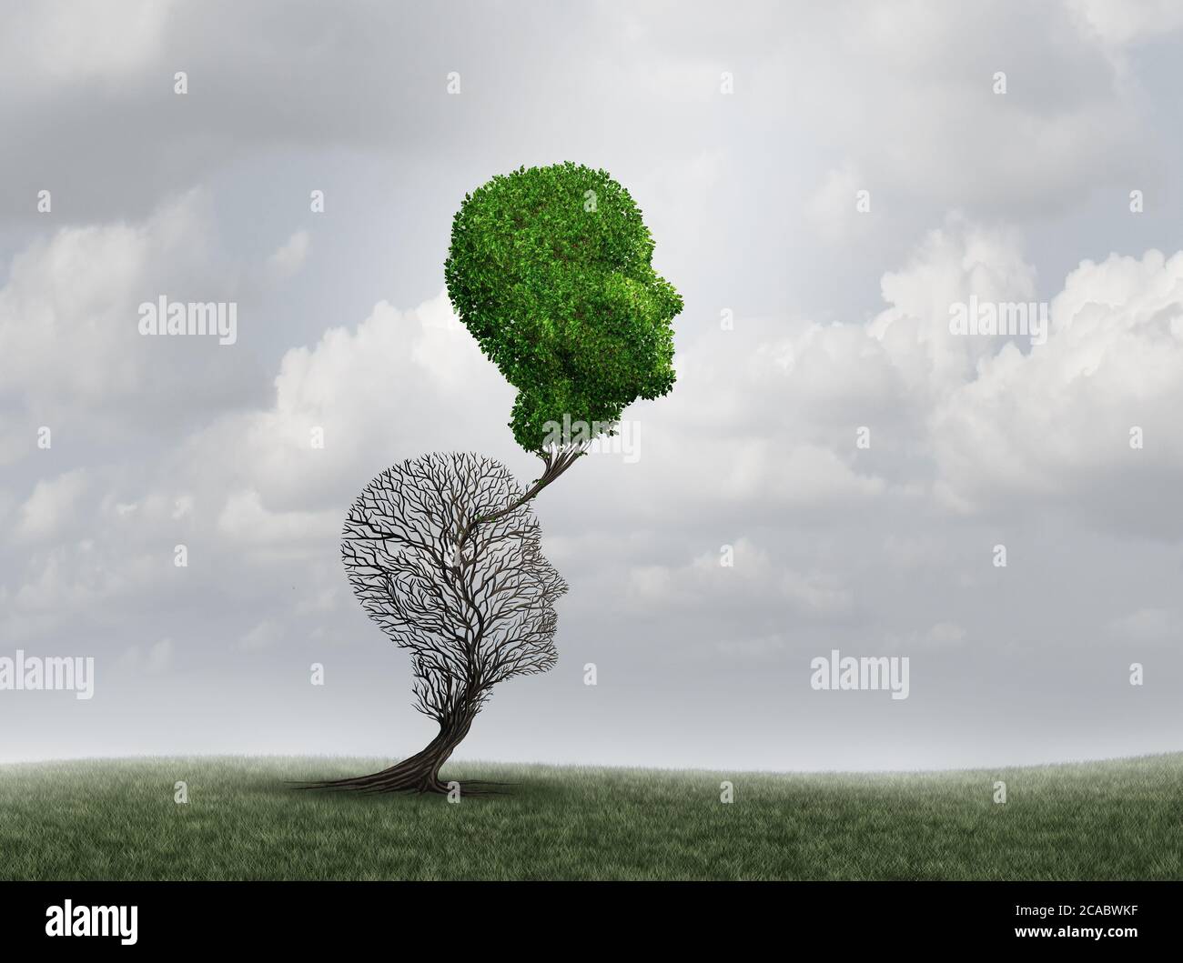 New You and old you as a rebirth and revival or recovery concept with 3D illustration elements. Stock Photo