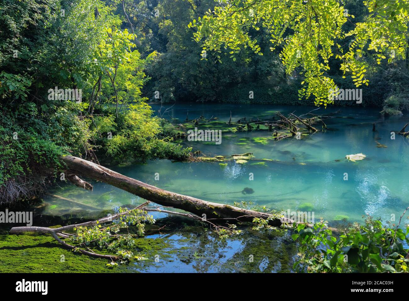 View of Timavo river spring. Nature area close to Trieste city, Friuli Venezia Giulia region, Italy. Stock Photo