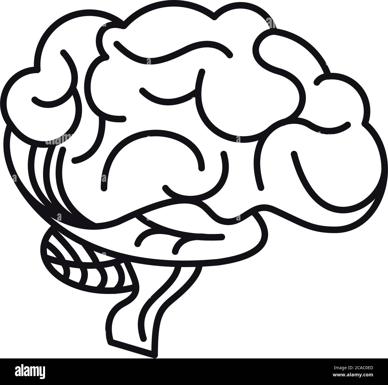 brain human organ isolated icon vector illustration design Stock Vector ...