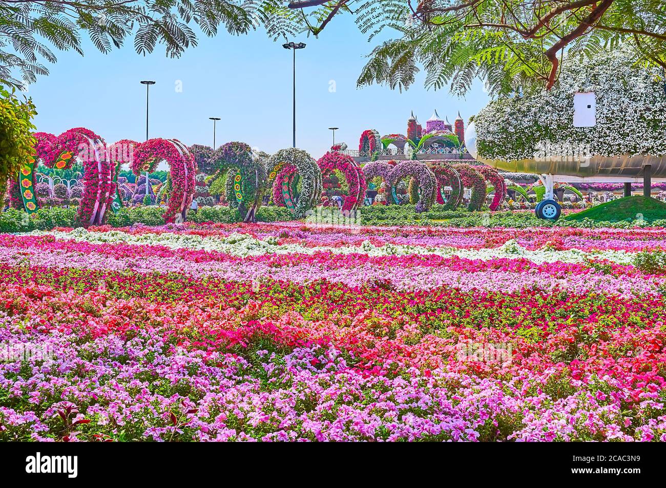 Dubai miracle garden heart hires stock photography and images Alamy