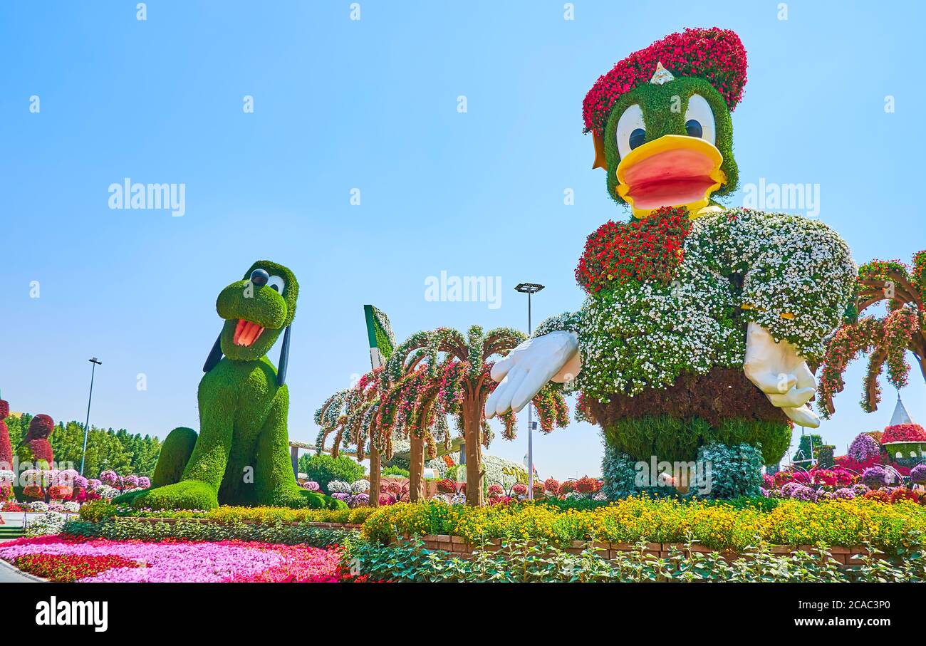 DUBAI, UAE - MARCH 5, 2020: The installtions of Webby and Goofy cartoon characters, covered with flowers and living plants in Miracle Garden, on March Stock Photo