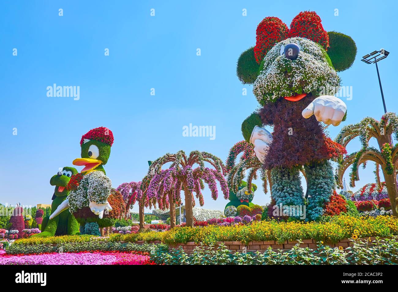 DUBAI, UAE - MARCH 5, 2020: Miracle Garden boasts the scenic installations of popular Walt Disney characters (Webby, Minnie Mouse, Goofy), covered and Stock Photo