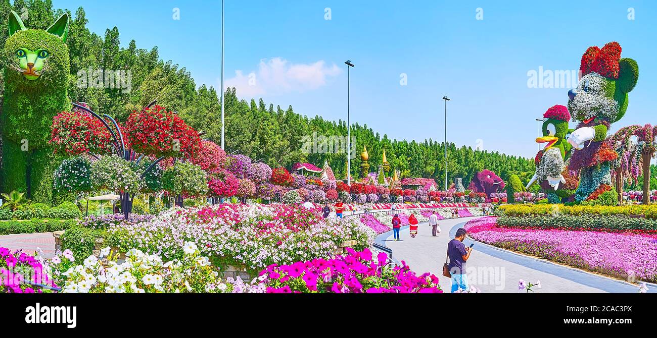 Dubai Uae March 5 Panorama Of Miracle Garden With Colorful Flower Beds Hanging Plants In Pots Big Installations Of Disney Cartoon Characte Stock Photo Alamy Dubai Uae March 5 Panorama Of Miracle Garden With Colorful Flower Beds Hanging Plants In Pots Big Installations Of Disney Cartoon Characte Stock Photo Alamy