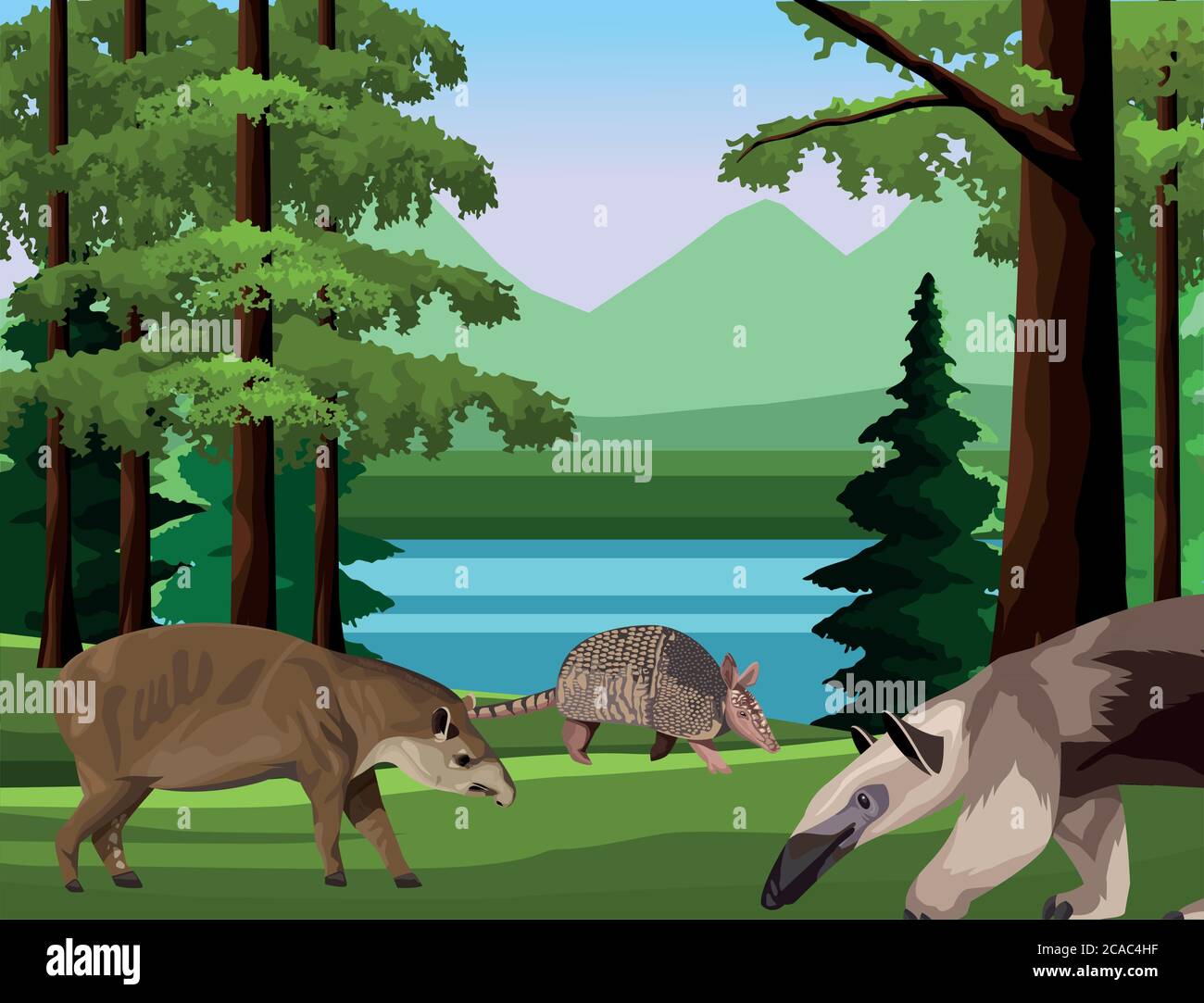 wild anteater with armadillo and tapir animals in the camp scene vector illustration design Stock Vector
