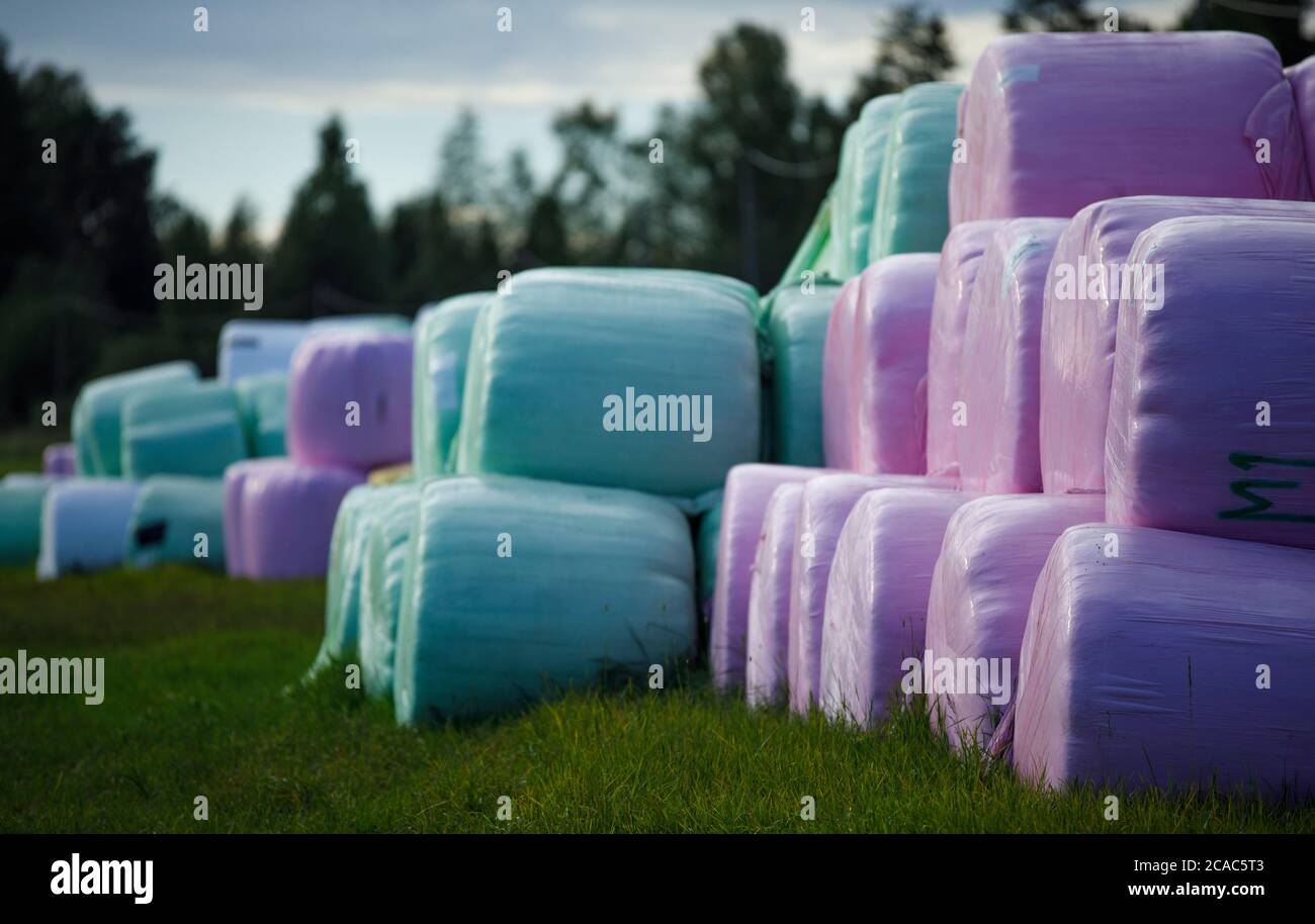 Plastic wrapped hay bale many hi-res stock photography and images - Alamy