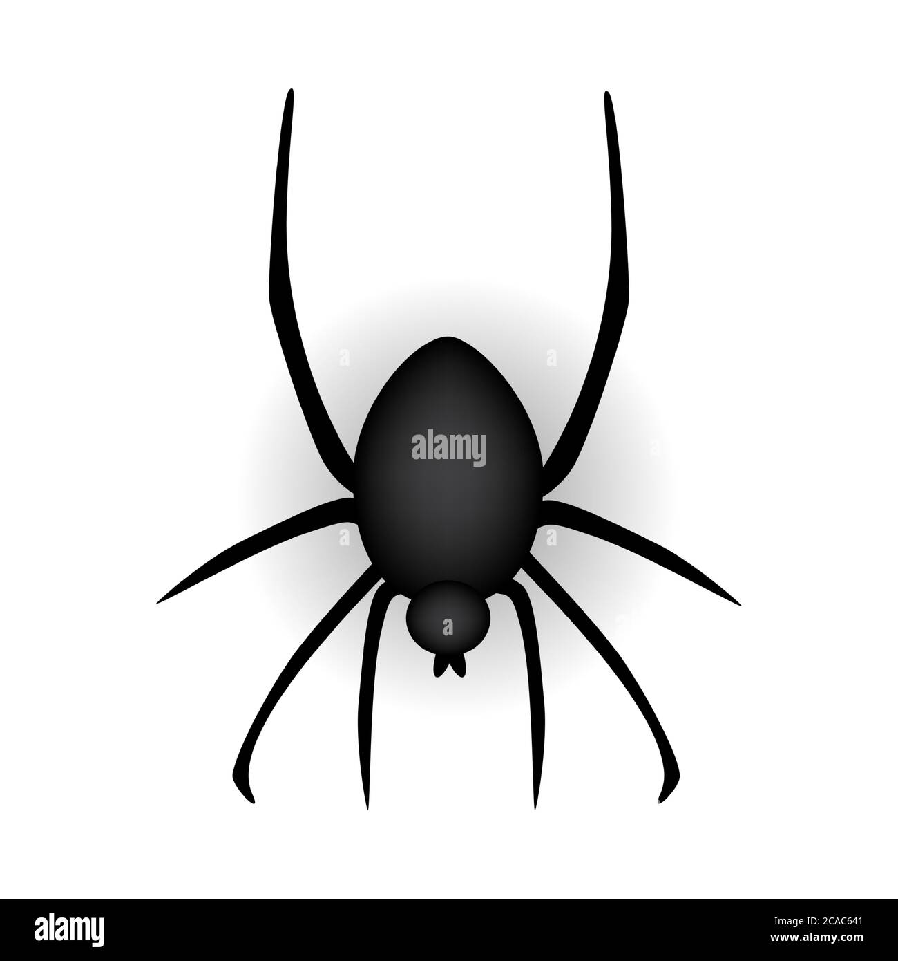 Realistic Spider on white background. Vector Illustration Stock Vector