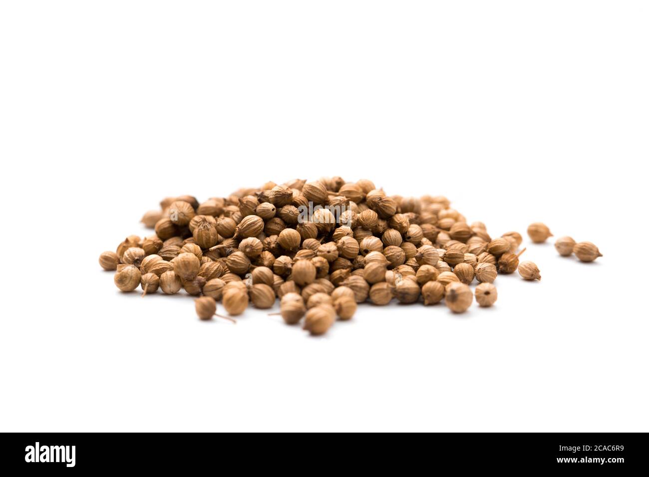 Heap of raw, unprocessed organic coriander or cilantro seeds on white background Stock Photo