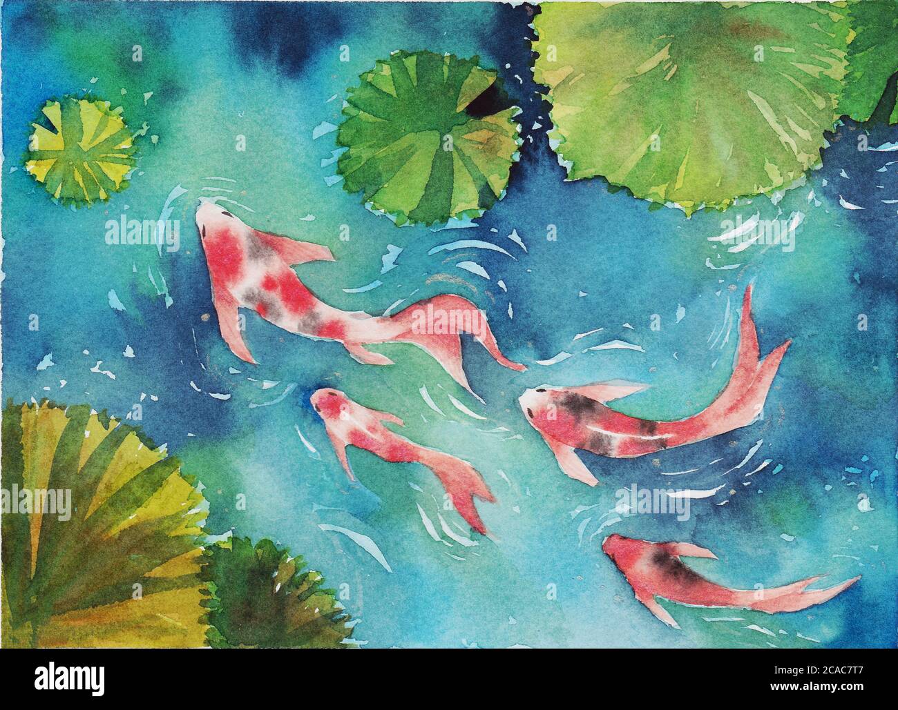 watercolor-hand-painting-two-koi-carp-fish-in-pond-symbol-of-good