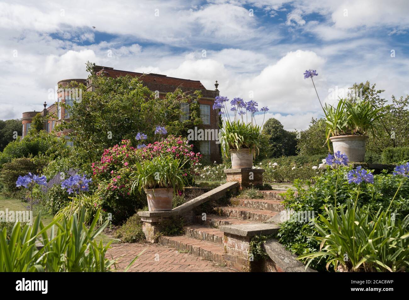 Pots of agapanthus on the steps of Hinton Ampner Nation Trust house Stock Photo