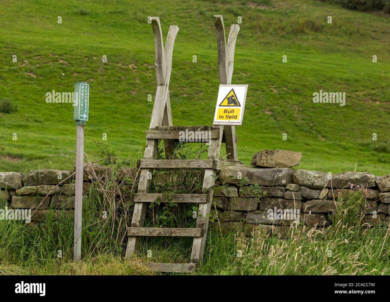 Bull in field warning sign attached to a ladder stile leading to a public footpath over a drystone wall.   Horizontal.  Space for copy. Stock Photo