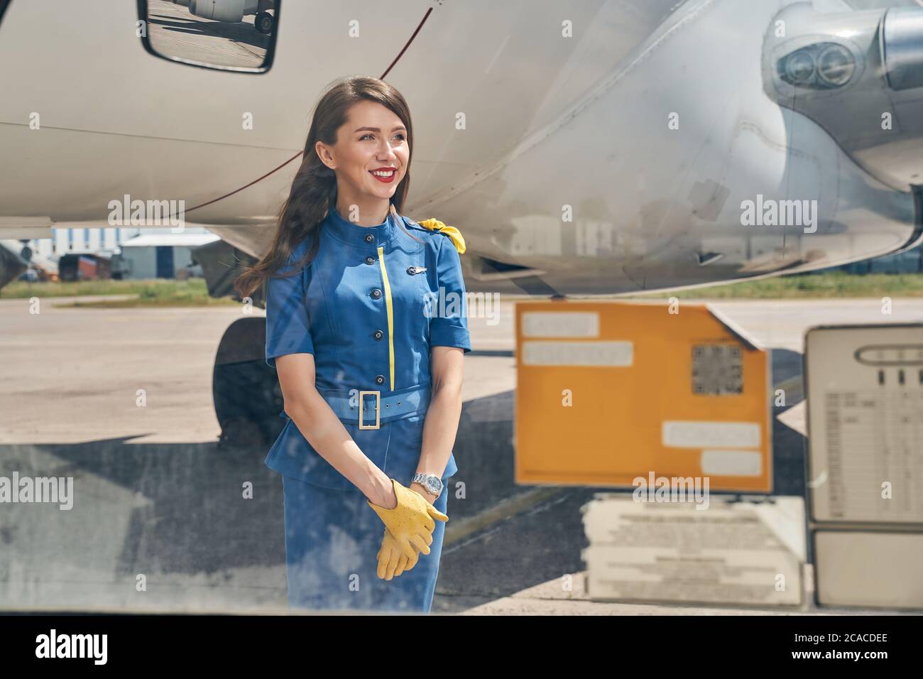 High-spirited flight attendant standing by an airplane Stock Photo