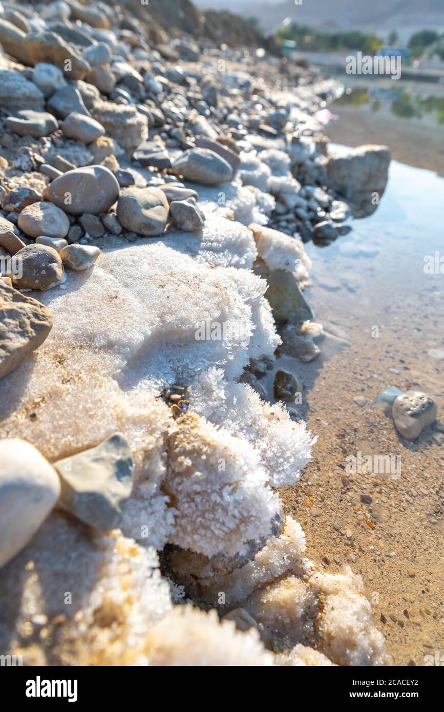 Israel, Dead Sea, salt crystalization caused by water evaporation Stock Photo Alamy