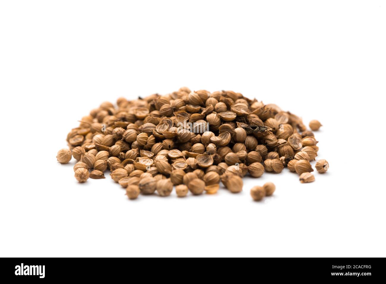 Heap of raw, unprocessed organic coriander or cilantro seeds on white background Stock Photo