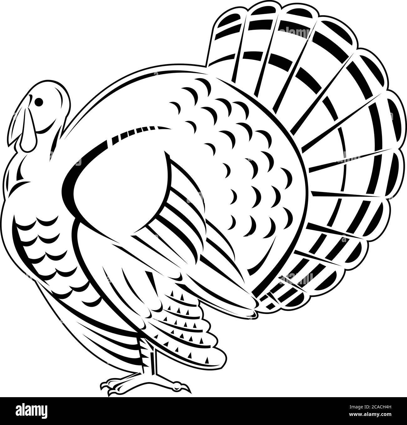 Retro woodcut style illustration of a wild turkey is a large bird in the genus meleagris, which is native to the Americas viewed from side isolated ba Stock Vector