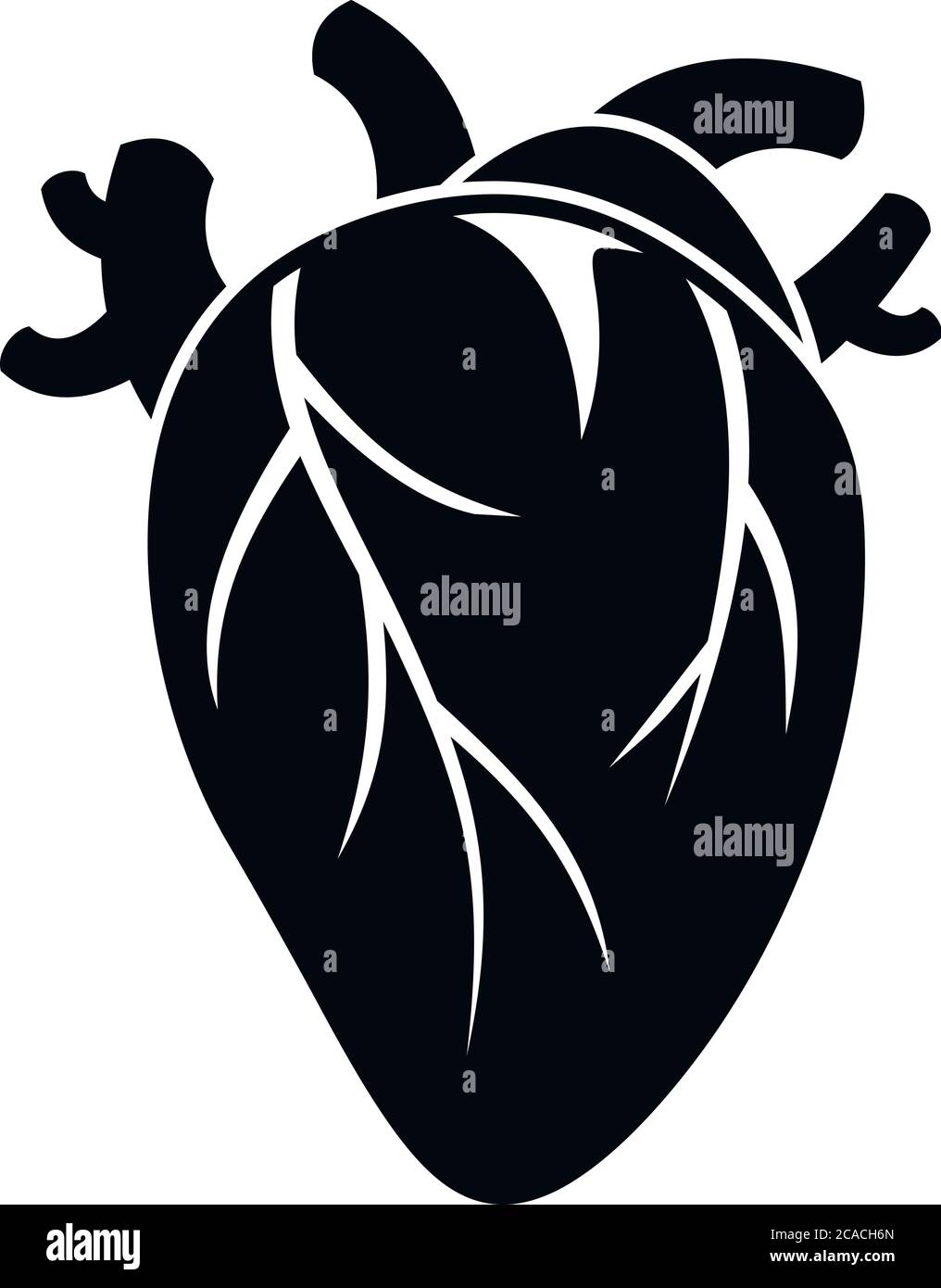 NAME icon. Simple illustration of biology, human, heartvector icon for ...