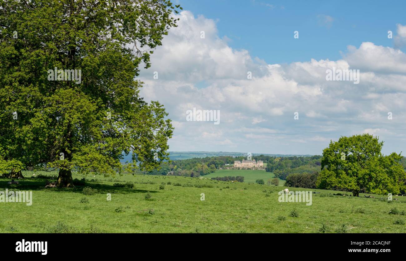 Summer view across Harewood Park - laid out by Capability Brown -towards Harewood House in West Yorkshire Stock Photo