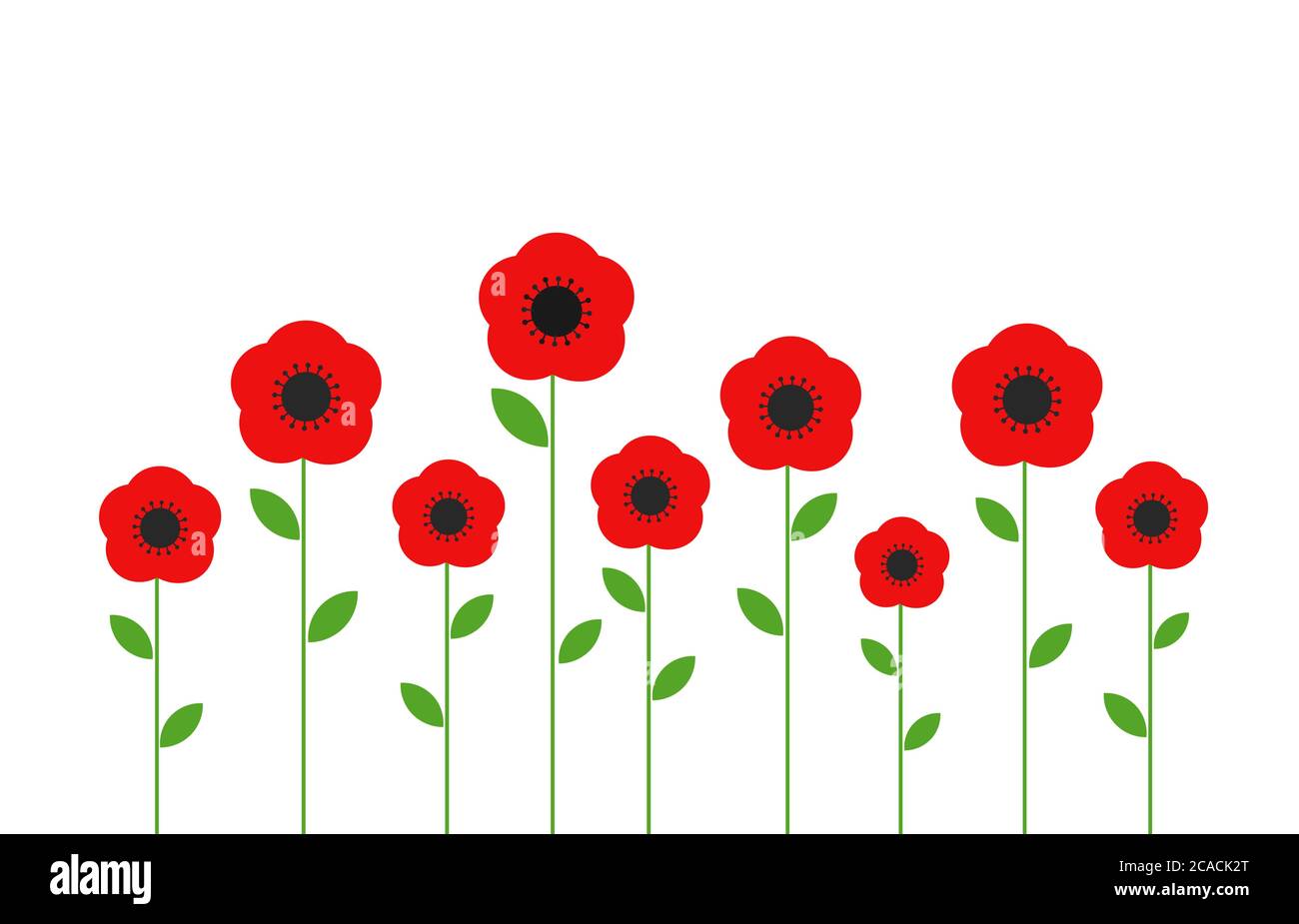 Red poppies flowers. Vector illustration Stock Vector Image & Art - Alamy