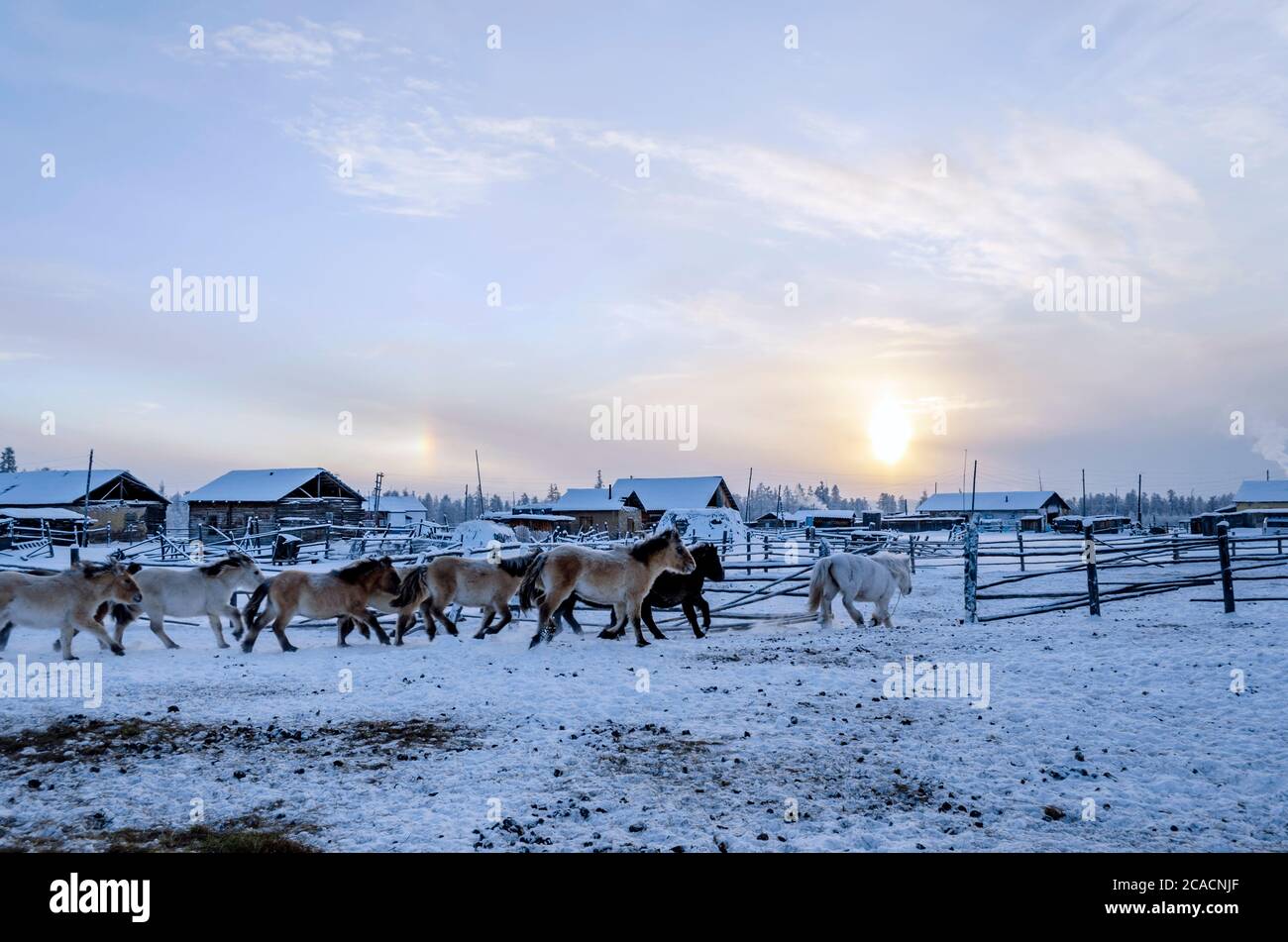 Oymyakon russia hi-res stock photography and images - Alamy
