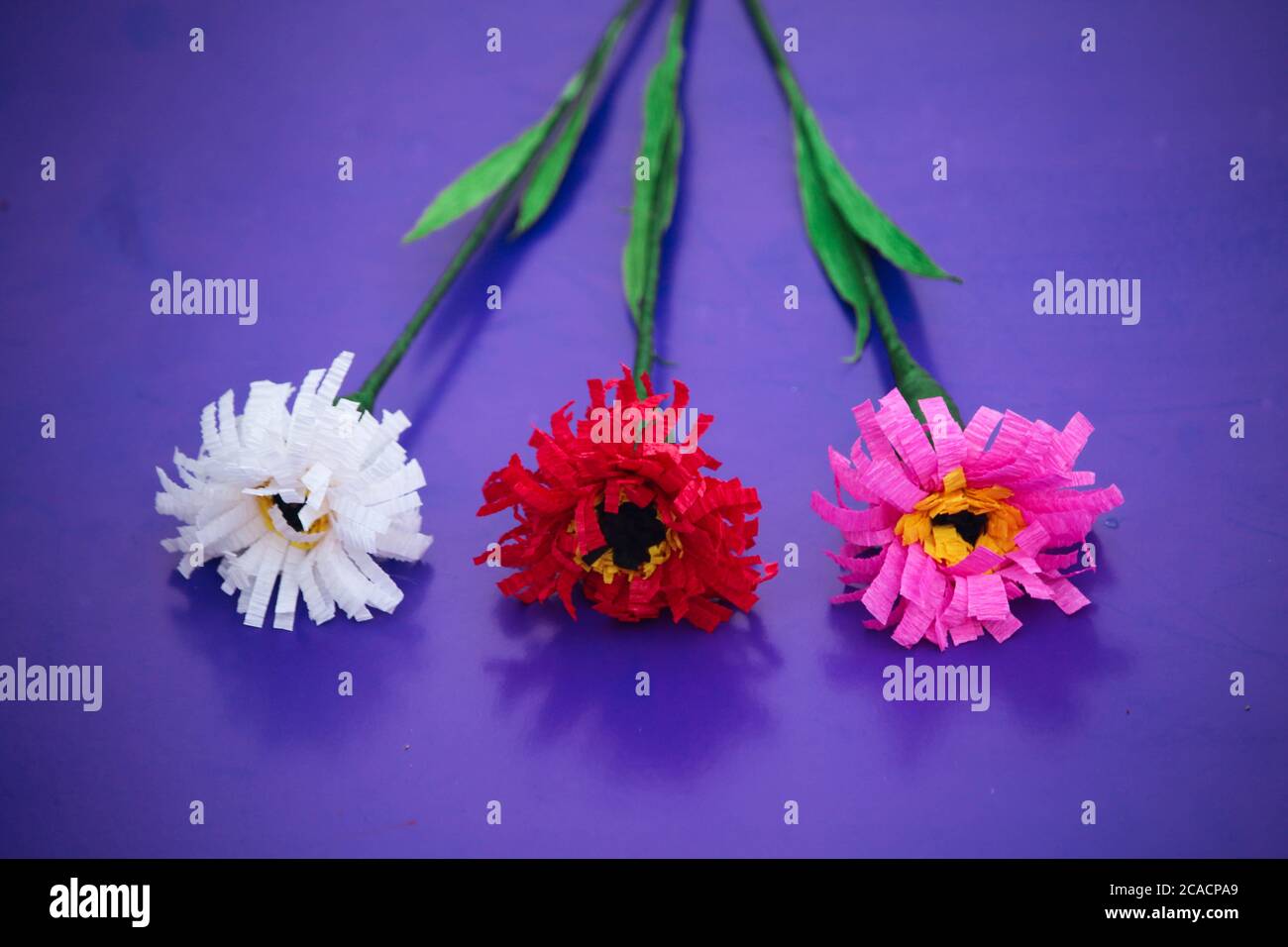 Colorful homemade origami paper flower, DIY floral paper craft, flower paper  style, DIY home decoration Stock Photo - Alamy