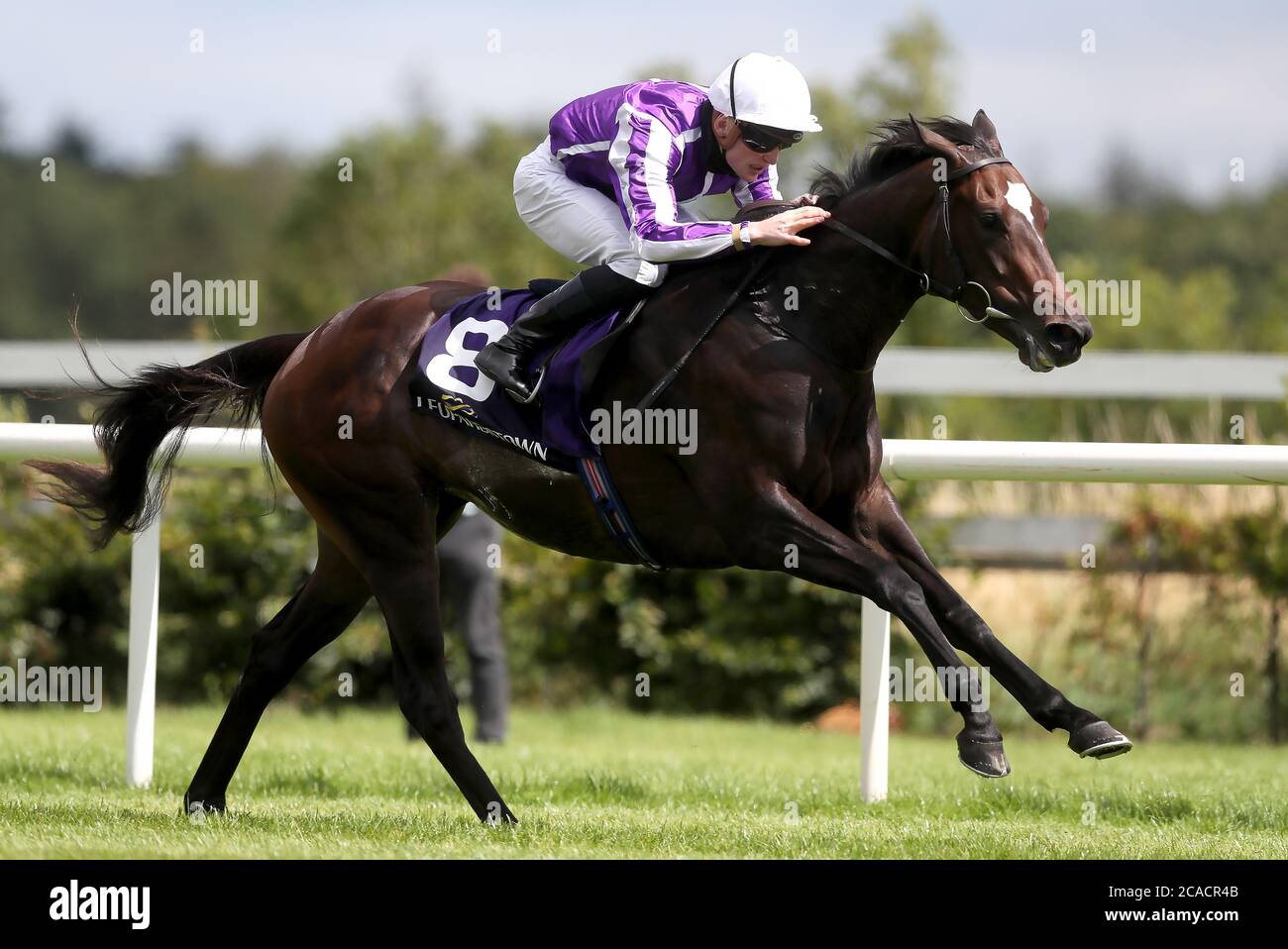 Shale ridden by Gavin Ryan coming home to win the Frank Conroy Silver Flash Stakes at Leopardstown Racecourse. Stock Photo