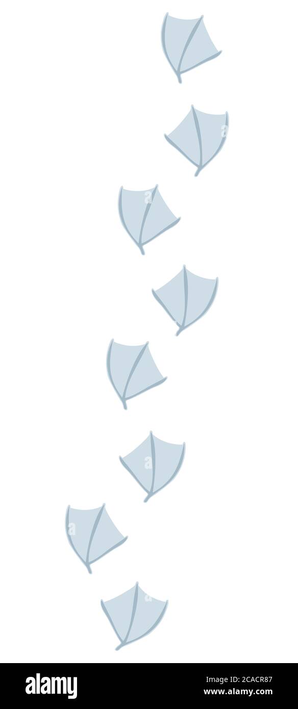 Duck tracks Cut Out Stock Images & Pictures Alamy