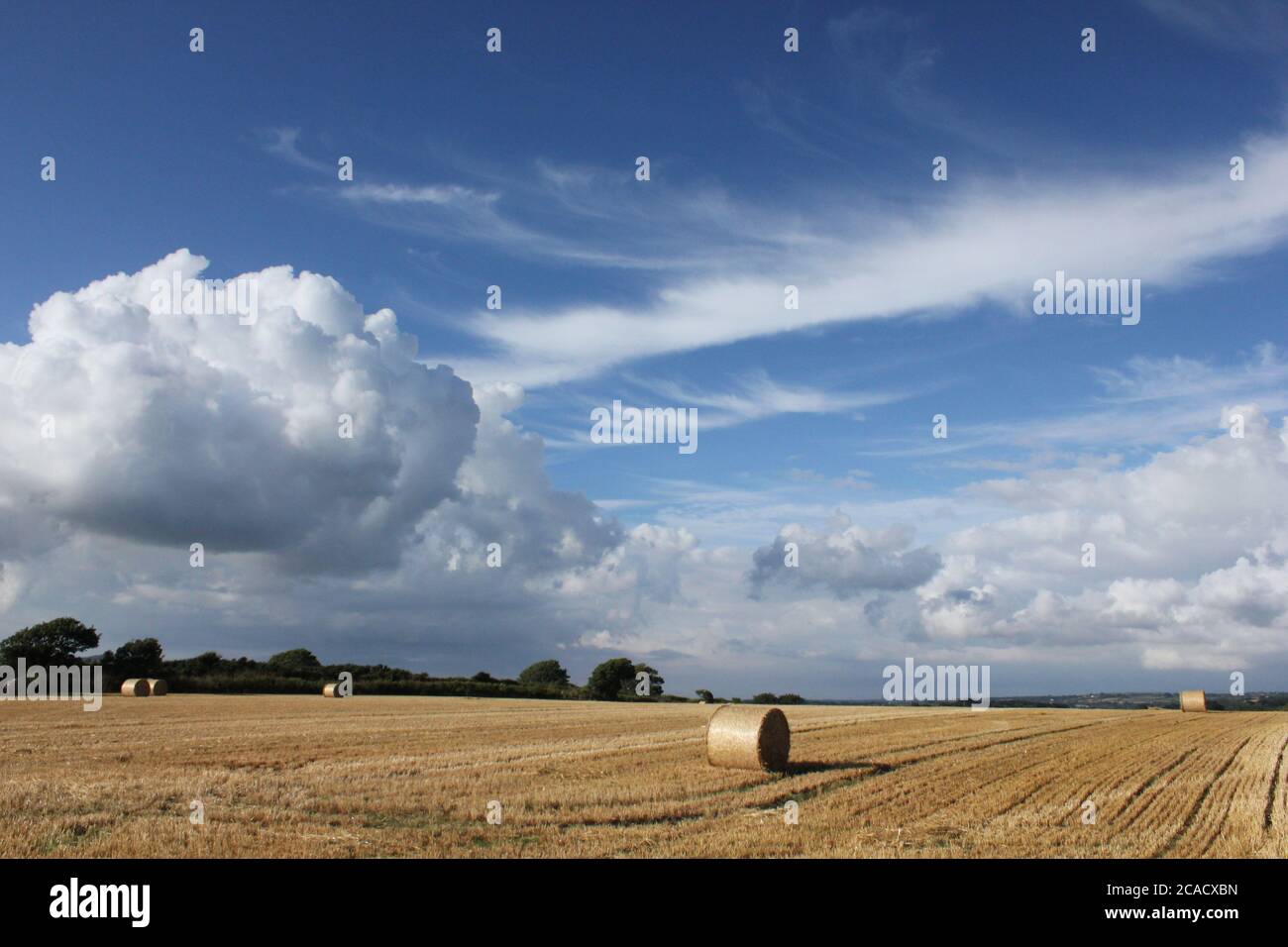 bales beneath blue sky Stock Photo - Alamy