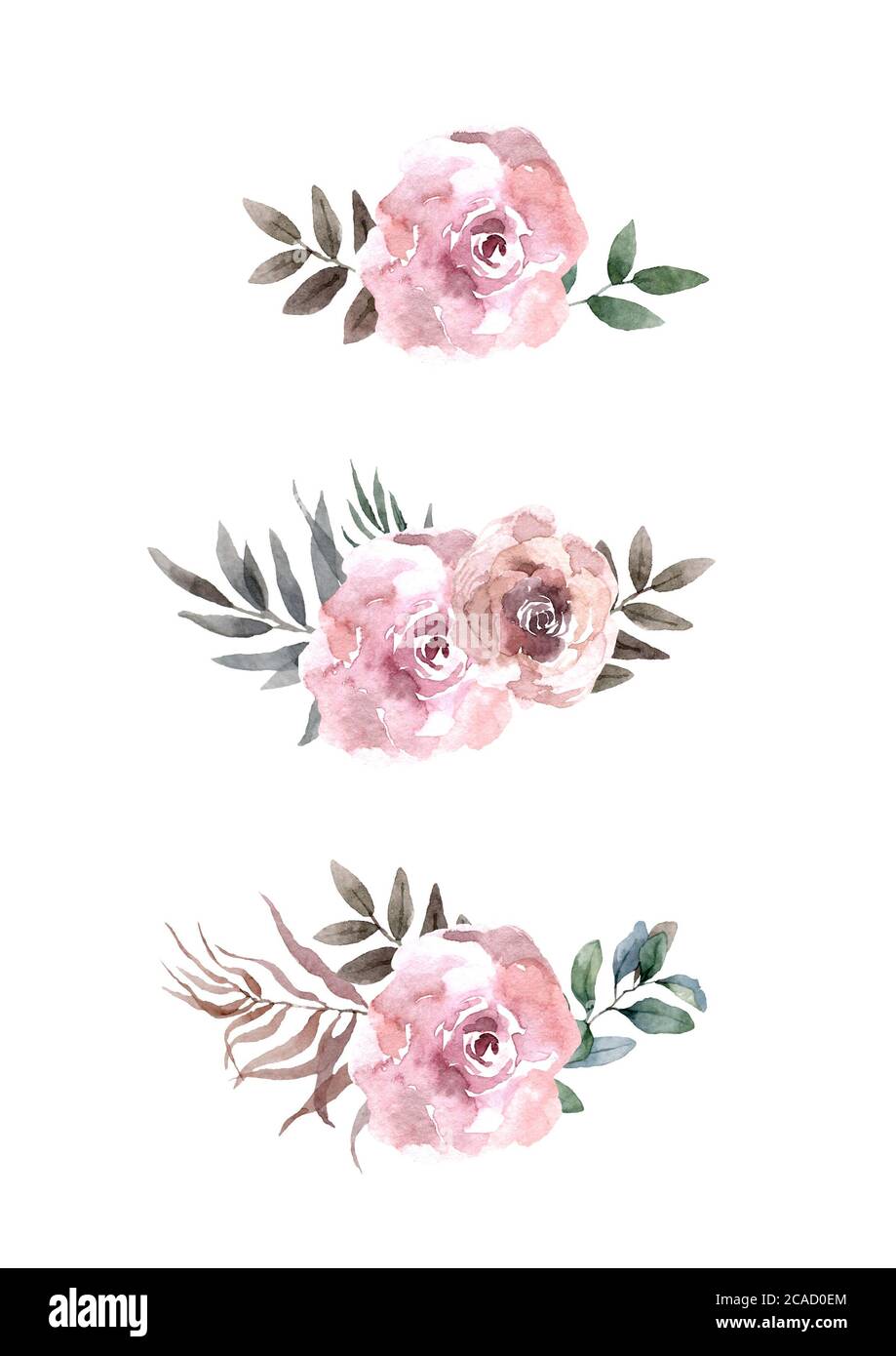 Floral card Design: garden flower lavender pink peach Rose hand drawn ...