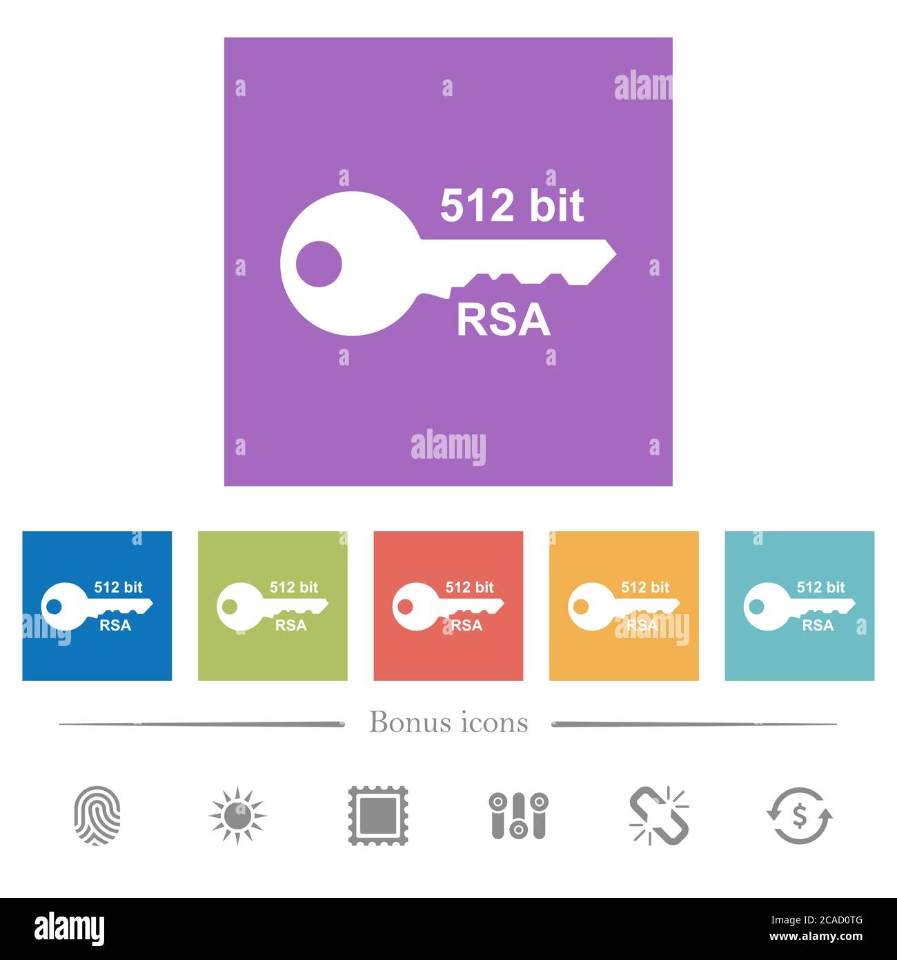 512 bit rsa encryption flat white icons in square backgrounds. 6 bonus ...