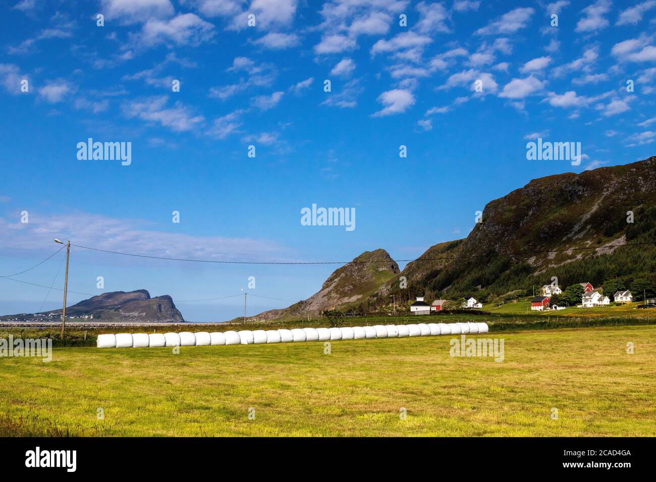 A farm at Runde island, west coast of Norway. A line of compressed animal feed balls (rundballer). Stock Photo