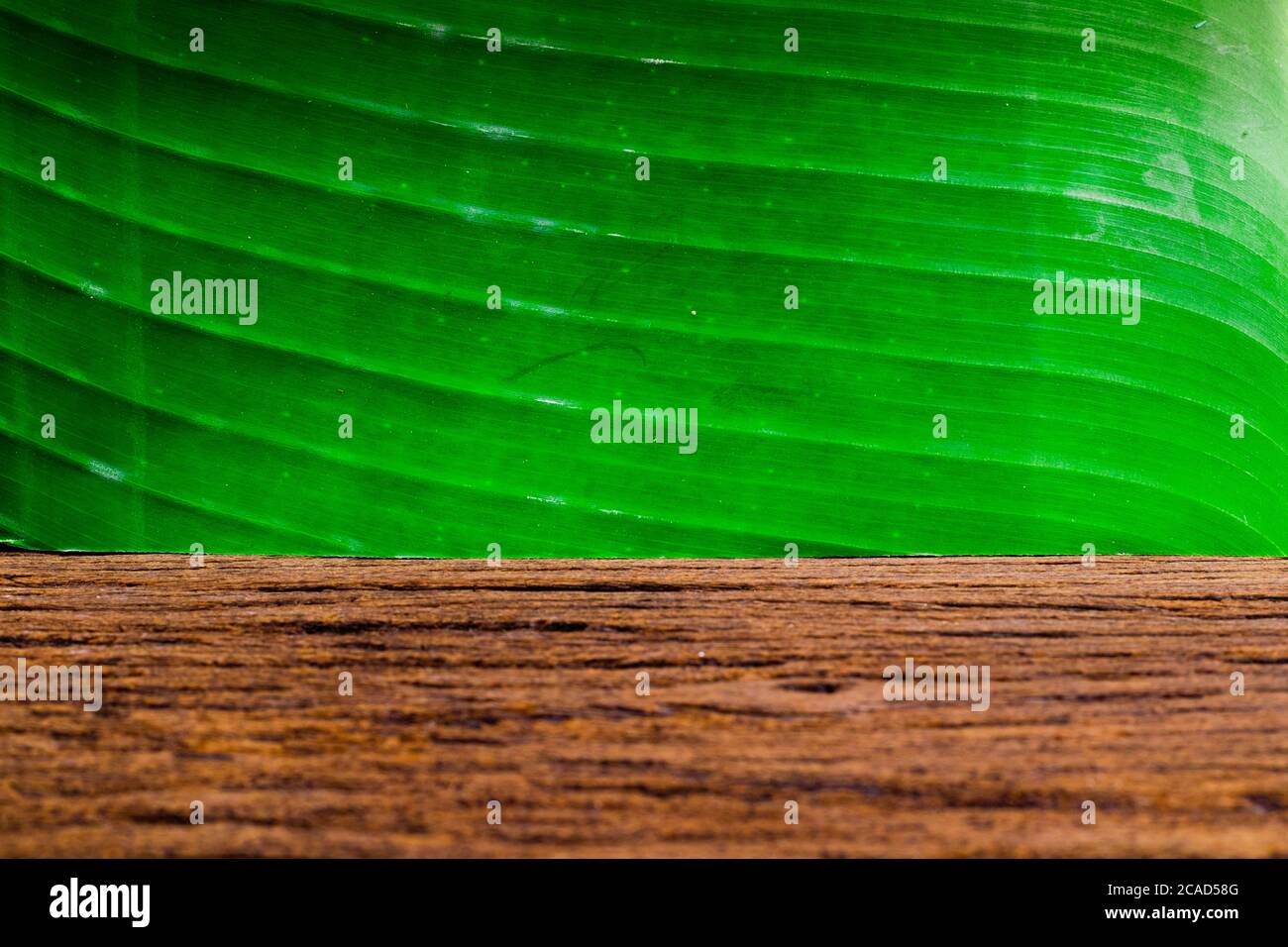 Banana Leaves Wallpaper High Resolution Stock Photography And Images Alamy