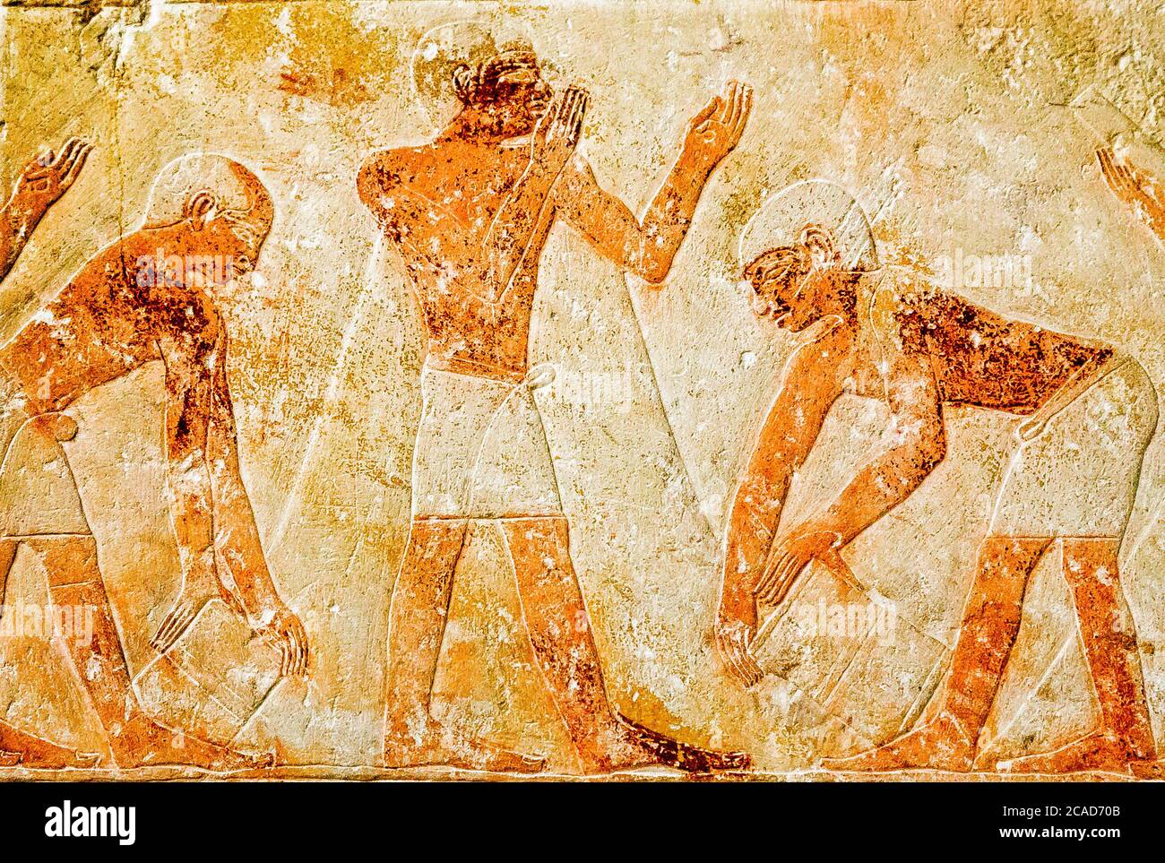 Egypt, Cairo, Egyptian Museum, from the tomb of Kaemrehu, Saqqara, detail of a big relief depicting agricultural scene : Measuring the harvest. Stock Photo