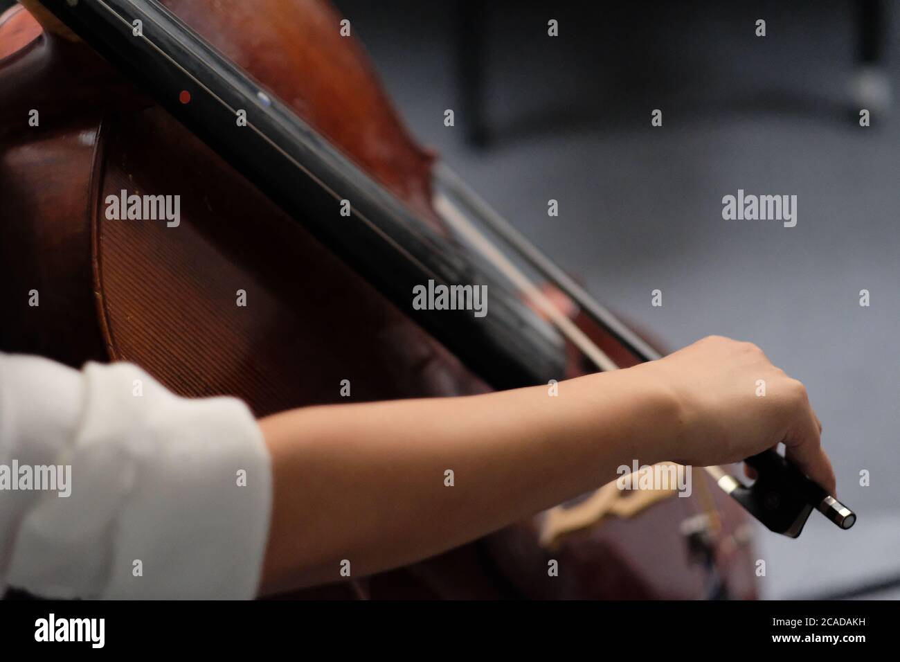 Close up female musician's arm taking a bow, playing brown cello. Blur background Stock Photo