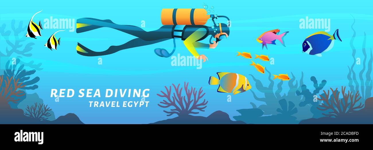 Travel Egypt cartoon banner. Red sea diving poster. Scuba diver swimming underwater among coral reef fish, vector illustration in flat style Stock Vector
