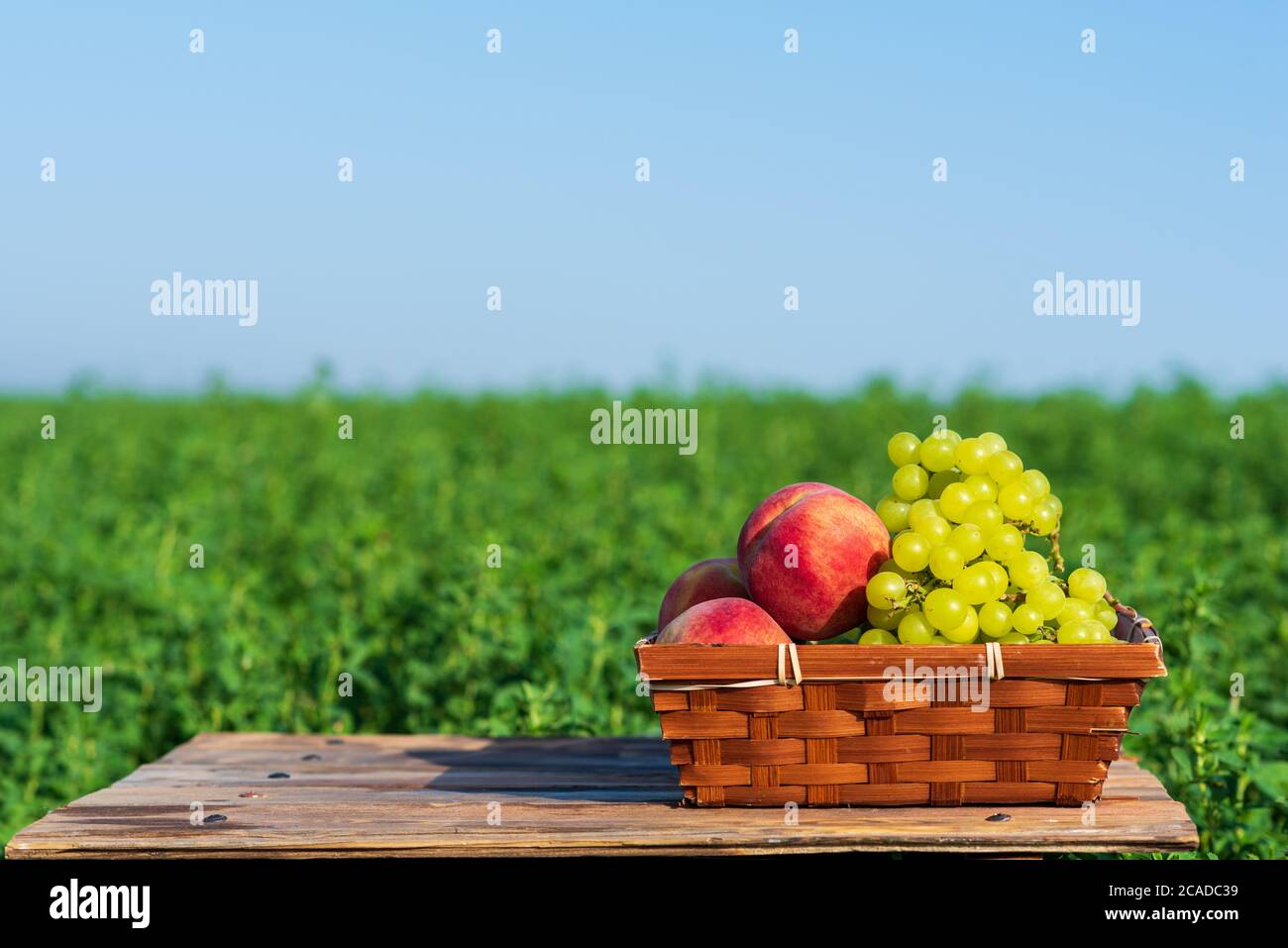 First fruits hires stock photography and images Alamy