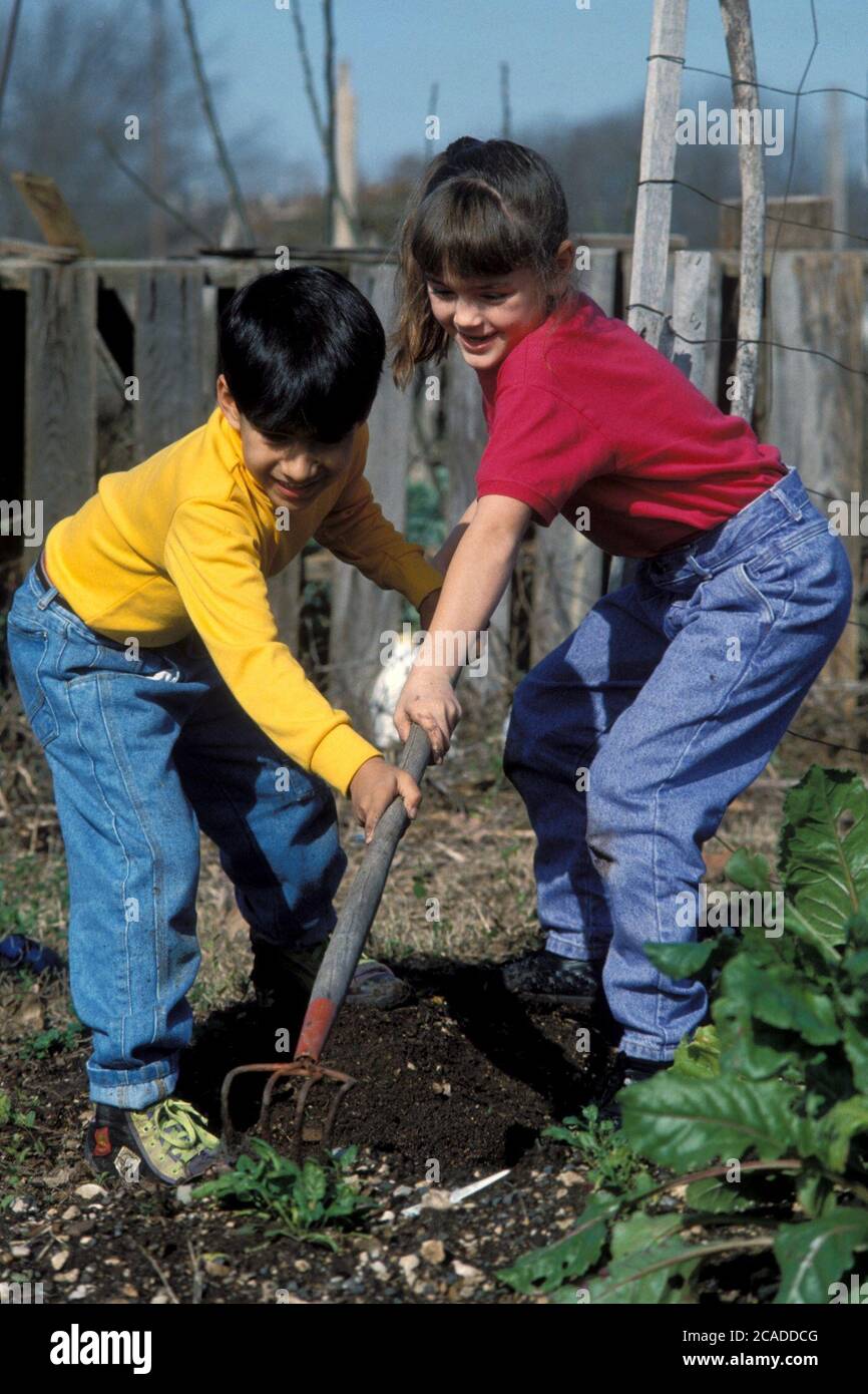Austin Texas USA, 1991: Six-year-old boy and girl work together to use hoe at community garden. MR EV-036-037. ©Bob Daemmrich Stock Photo