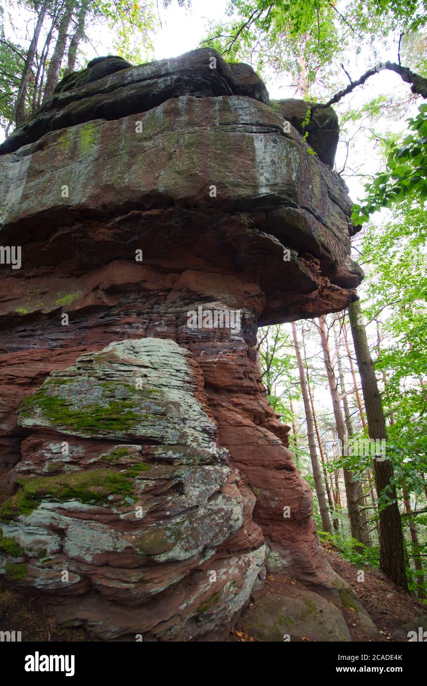 large rock in the Palatinate Forest Stock Photo