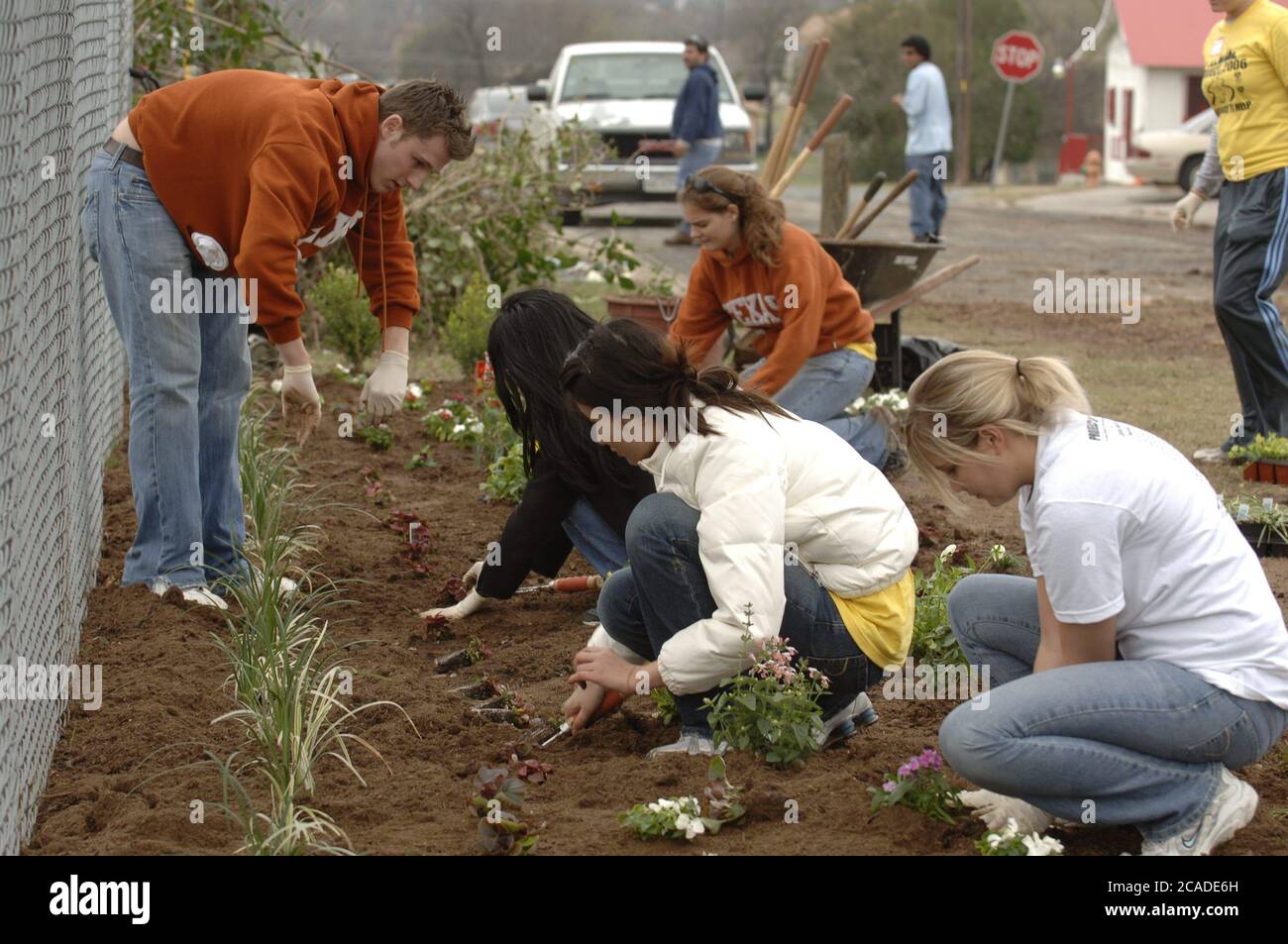 Austin, Texas USA, February 25, 2006: University of Texas college students sprucing up the St. John's neighborhood of northeast Austin as part of a campus-wide volunteer day. ©Bob Daemmrich Stock Photo