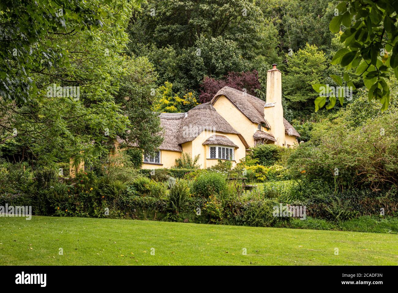 Exmoor National Park - A typical thatched cottage in the village of Selworthy, Somerset UK Stock Photo
