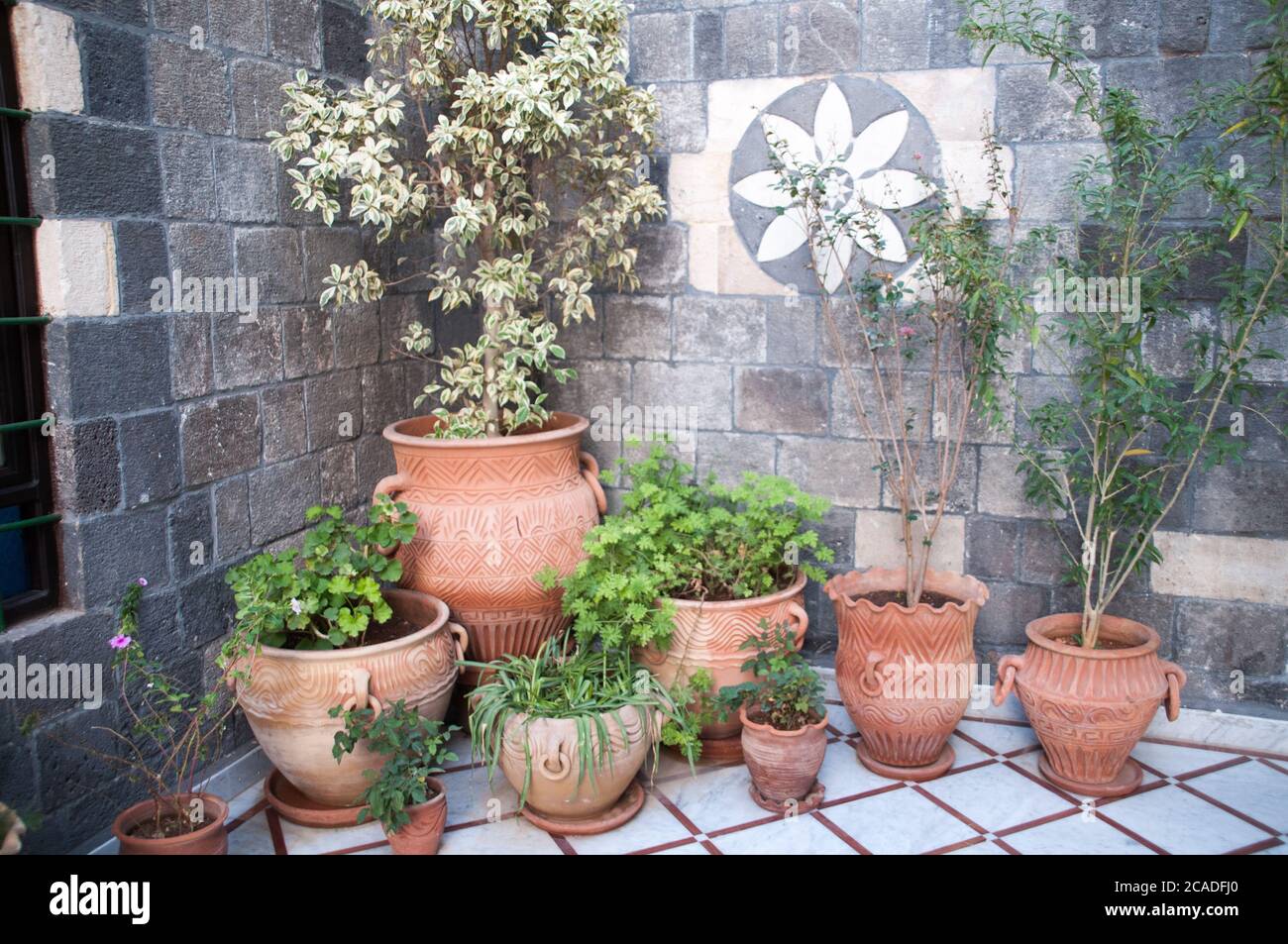 Potted plants in the corner of a traditional Syrian outdoor courtyard in a stone home in the old quarter of Damascus, Syria. Stock Photo